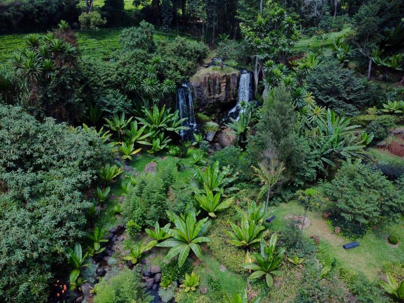 Half Acre Land for Sale in Tigoni from KSh 17M photo 5