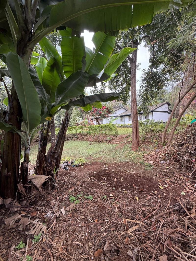 4 Bedroom House for Sale in Loresho on 0.5 Acre photo 4
