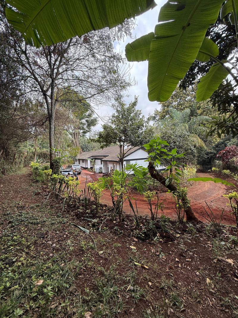 4 Bedroom House for Sale in Loresho on 0.5 Acre photo 6