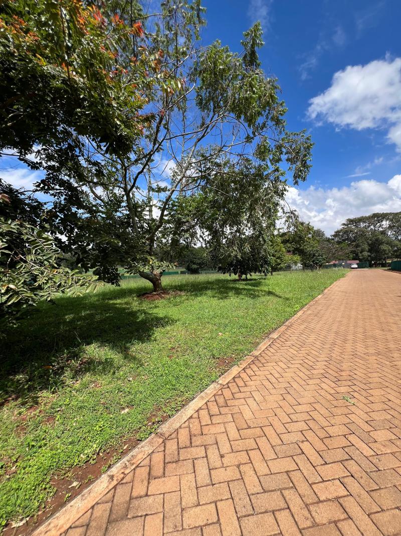 Karen Hills - An Exclusive Sanctuary: One-Acre Estates photo 2