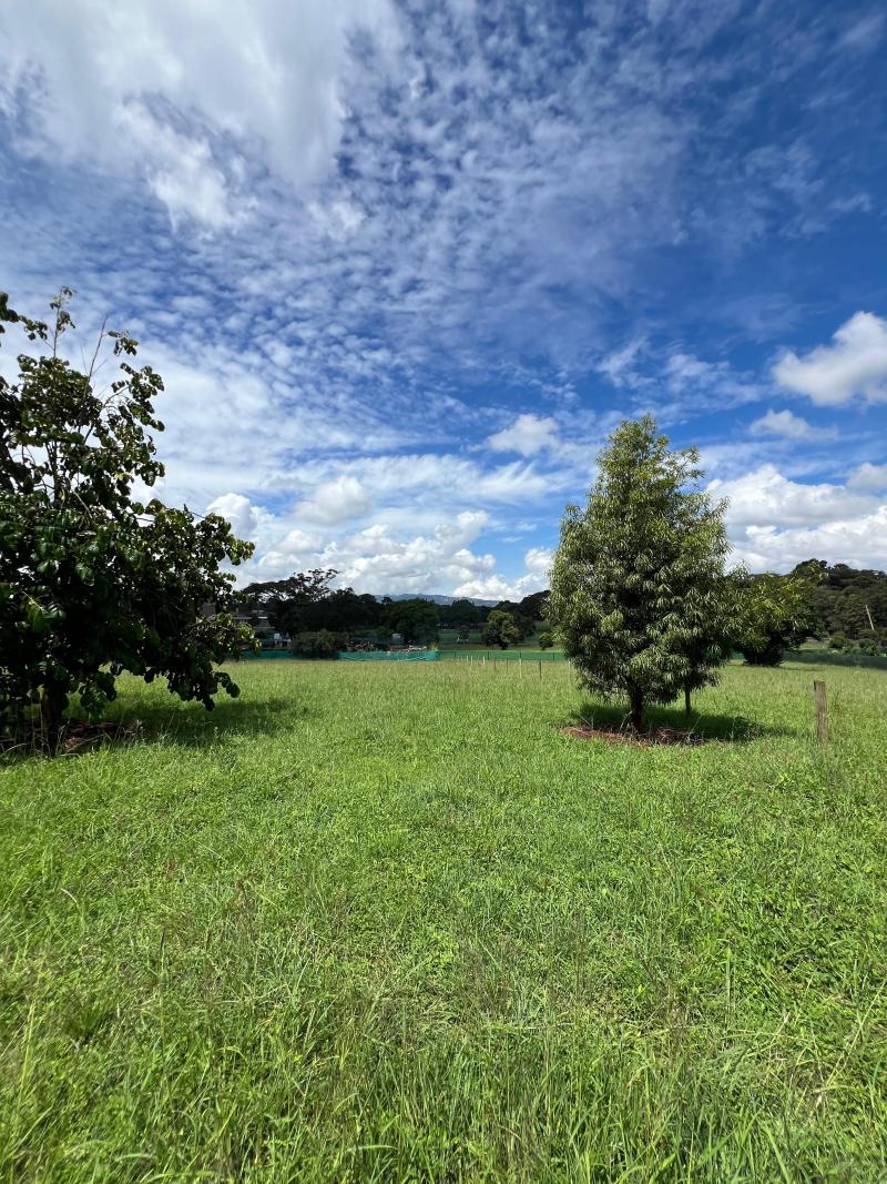 Karen Hills - An Exclusive Sanctuary: One-Acre Estates photo 4