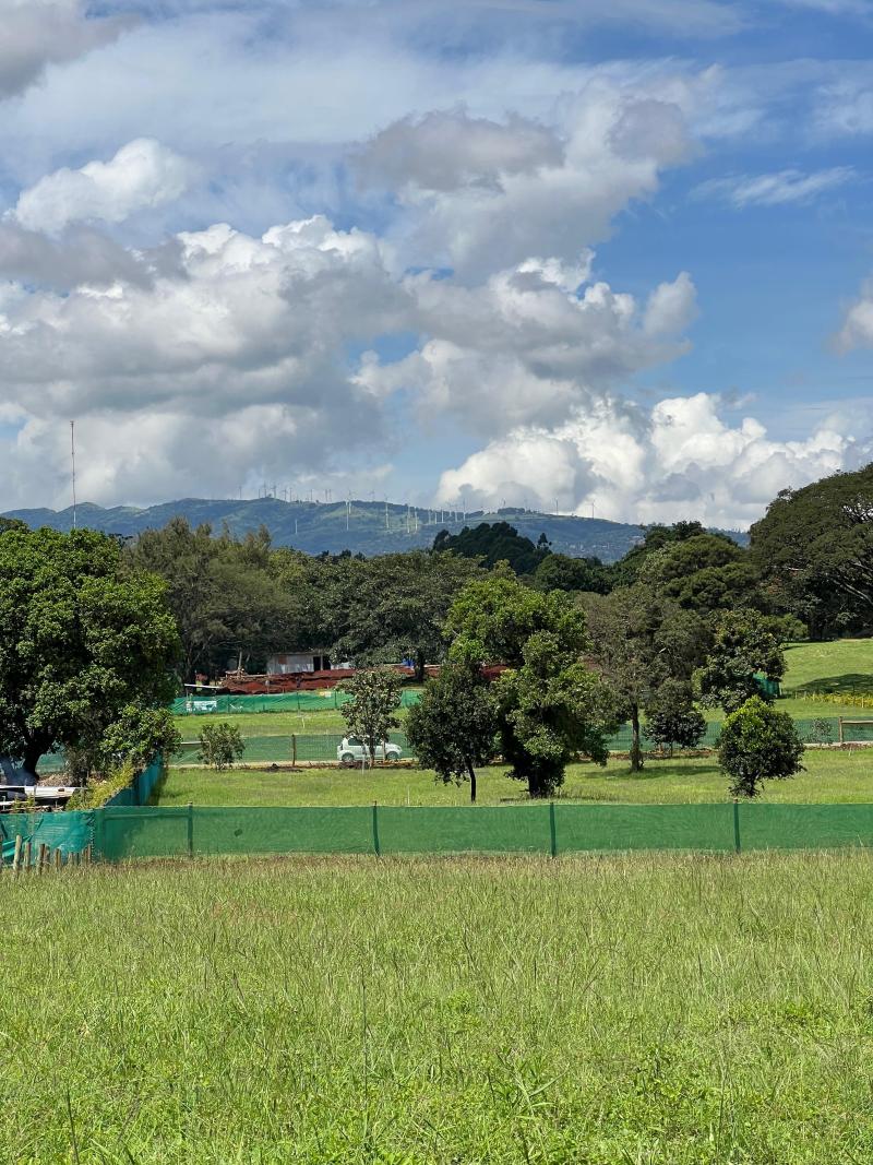 Karen Hills - An Exclusive Sanctuary: One-Acre Estates photo 5