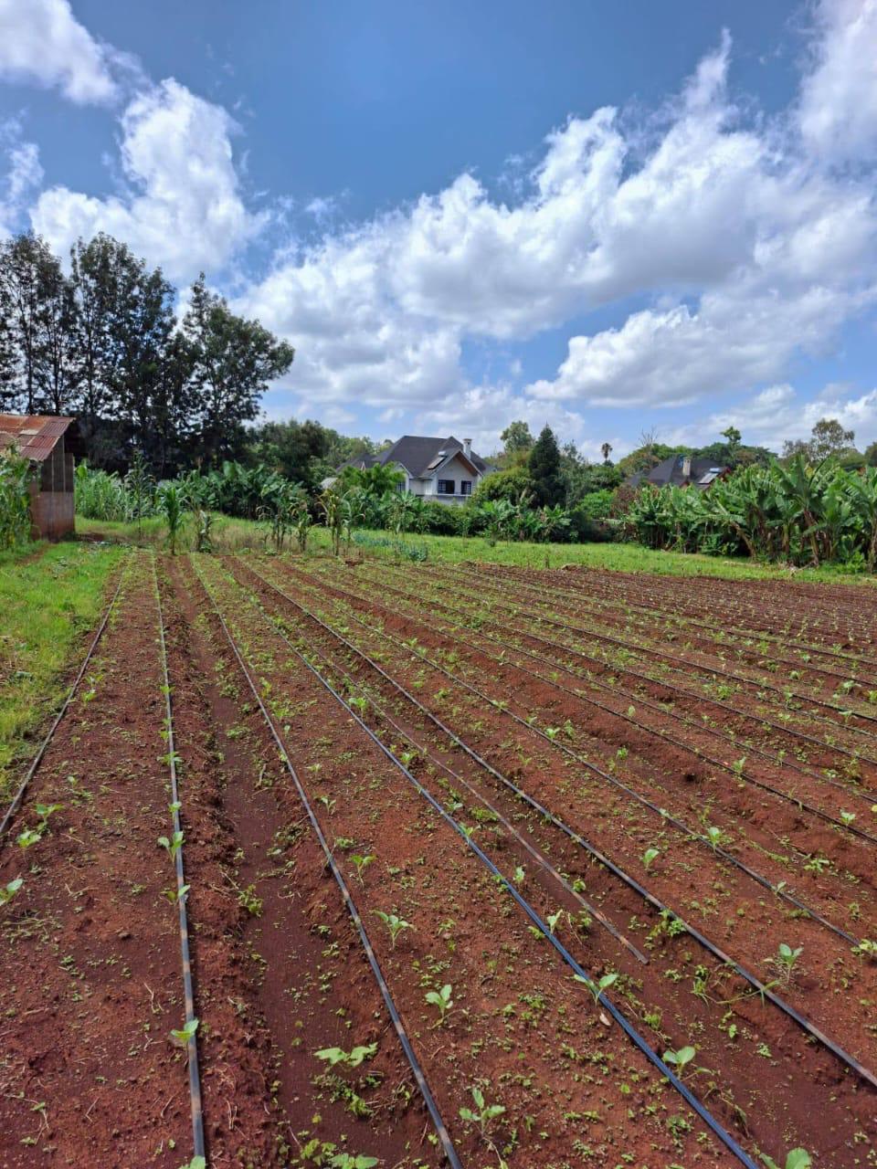 Windy Ridge Karen 1/2 acre Gated community land for sale