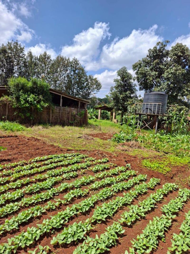 Windy Ridge Karen 1/2 acre Gated community land for sale