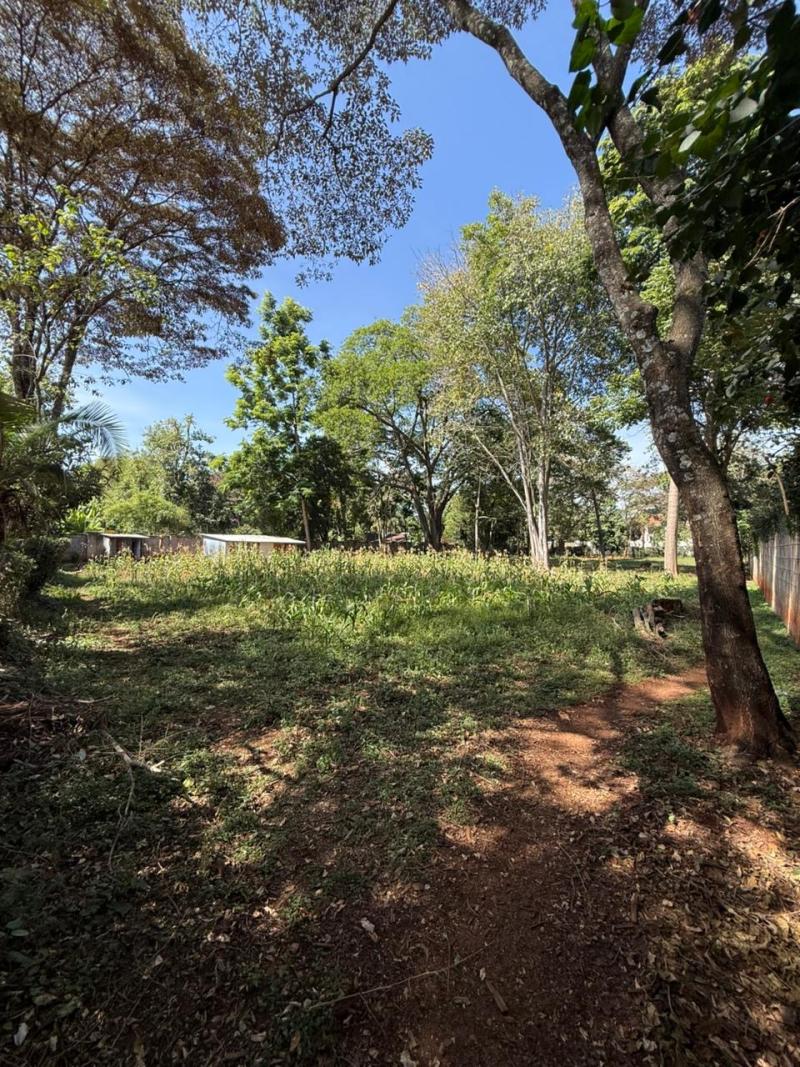 1 Acre Prime Land for Sale in Thigiri, Nairobi – KSh 204M photo 3